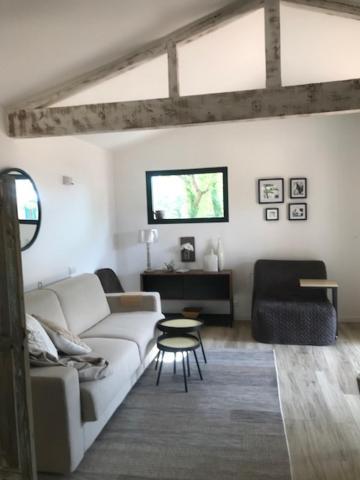 La Brindille Petit Mas Provencal Meuble De Tourisme 3 Etoiles 2-3 Personnes 1 Piece 30 M2 Tout Confort Lisiere Foret Jardin Jacuzzi Piscine Saint-Paul-en-Forêt Exteriör bild