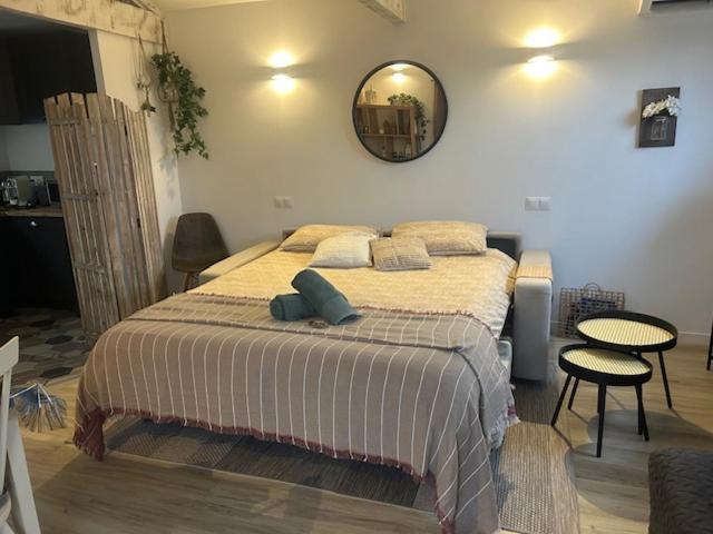 La Brindille Petit Mas Provencal Meuble De Tourisme 3 Etoiles 2-3 Personnes 1 Piece 30 M2 Tout Confort Lisiere Foret Jardin Jacuzzi Piscine Saint-Paul-en-Forêt Exteriör bild