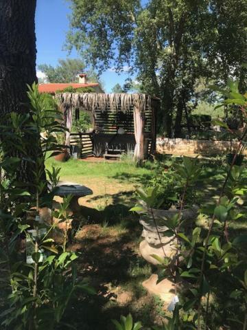 La Brindille Petit Mas Provencal Meuble De Tourisme 3 Etoiles 2-3 Personnes 1 Piece 30 M2 Tout Confort Lisiere Foret Jardin Jacuzzi Piscine Saint-Paul-en-Forêt Exteriör bild